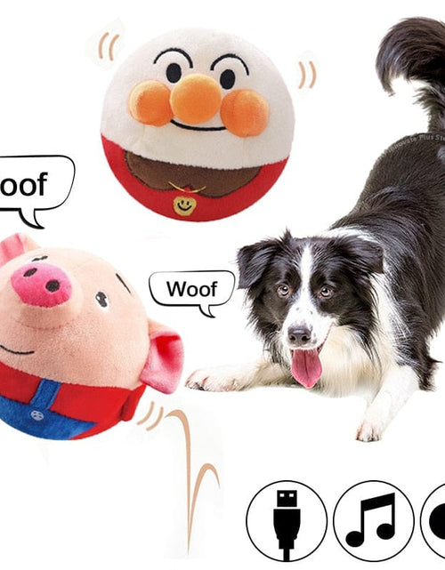 Load image into Gallery viewer, PetPalz: Interactive Talking Ball for Pets
