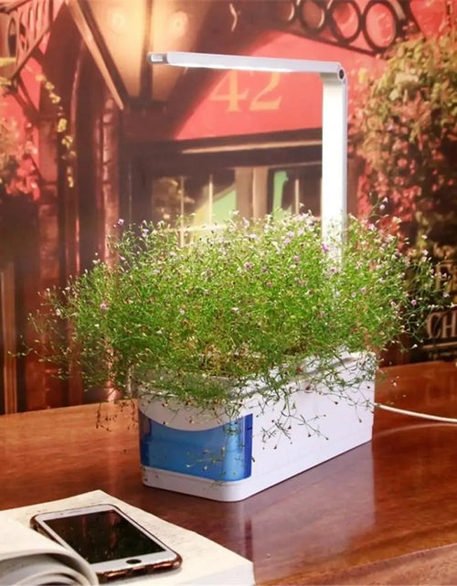 Load image into Gallery viewer, Hydroponic Indoor Herb Garden Kit
