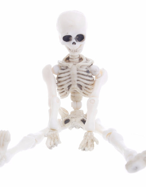 Load image into Gallery viewer, Movable Mr. Bones Skeleton
