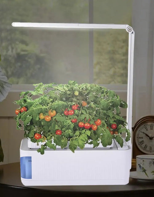 Load image into Gallery viewer, Hydroponic Indoor Herb Garden Kit
