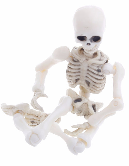 Load image into Gallery viewer, Movable Mr. Bones Skeleton
