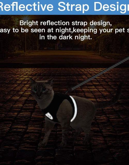 Load image into Gallery viewer, CozyCat Pet Harness and Leash
