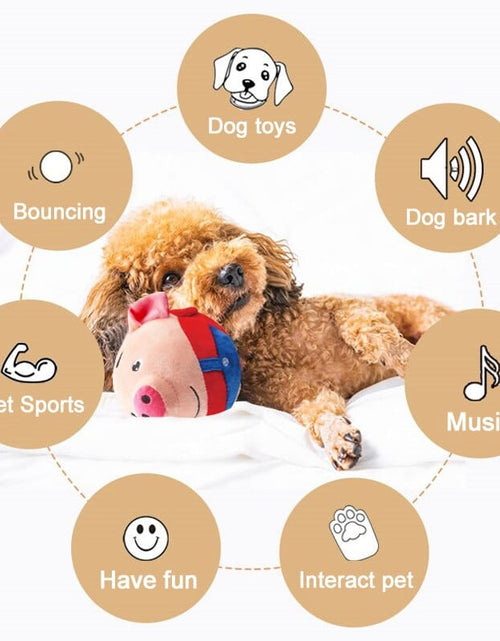 Load image into Gallery viewer, PetPalz: Interactive Talking Ball for Pets
