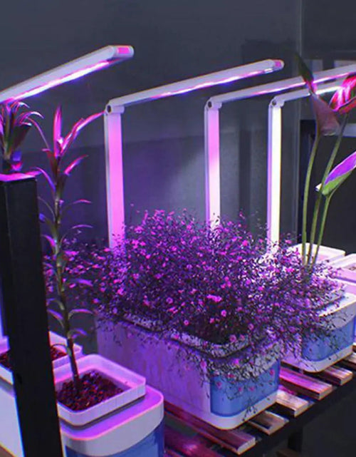 Load image into Gallery viewer, Hydroponic Indoor Herb Garden Kit
