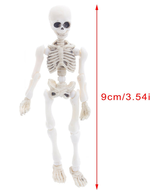 Load image into Gallery viewer, Movable Mr. Bones Skeleton
